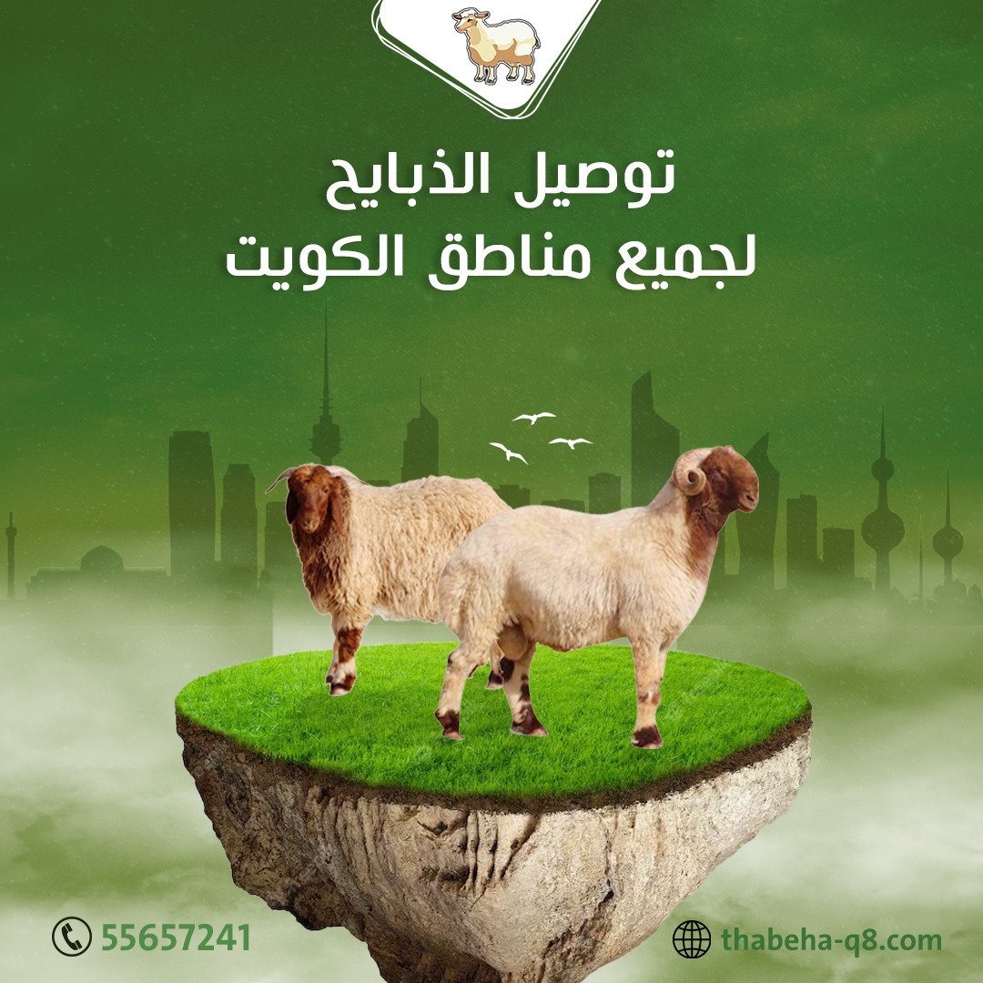 افضل ذبايح تمايم بالكويت 55657241